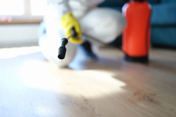 Mold Remediation for Vacation Homes in Bay Minette, AL