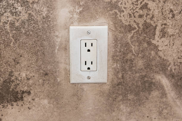Best Post-Construction Mold Inspection  in Bay Minette, AL